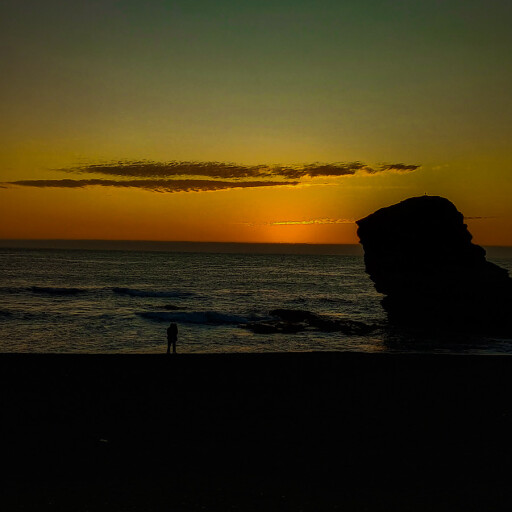 danyel_castillo19_avatar