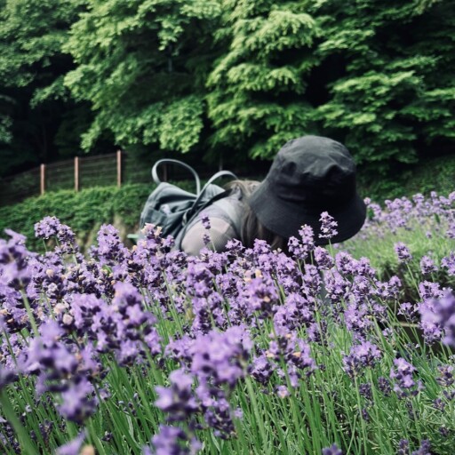 murmuring.nan_avatar